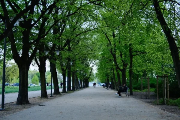 Zielone enklawy Poznania: przewodnik po najciekawszych parkach