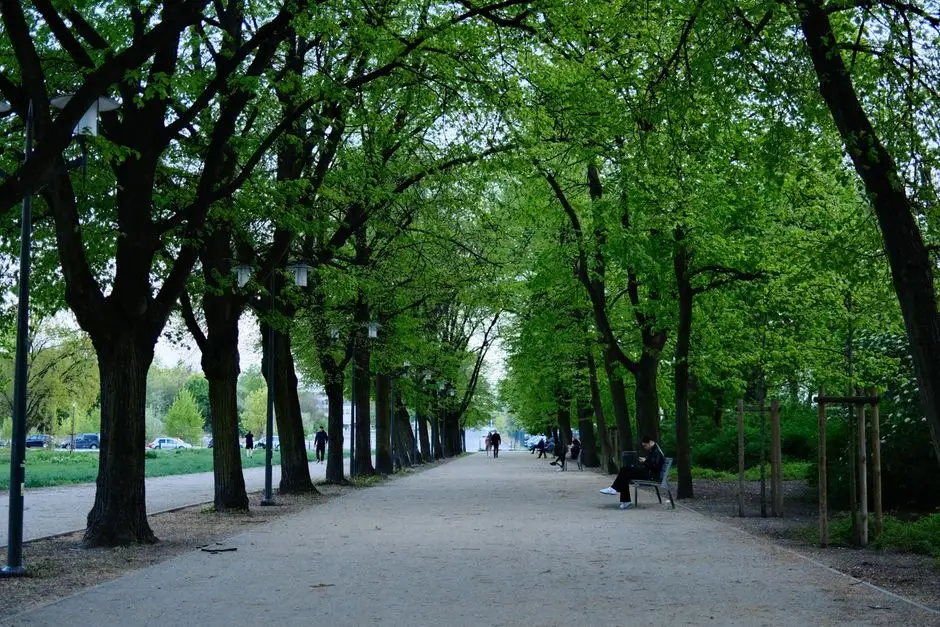Zielone enklawy Poznania: przewodnik po najciekawszych parkach