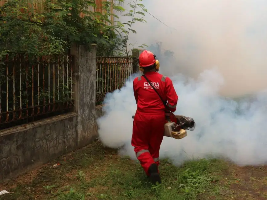 Praca w Poznaniu: Wydział Klimatu i Środowiska szuka specjalisty ds. dotacji