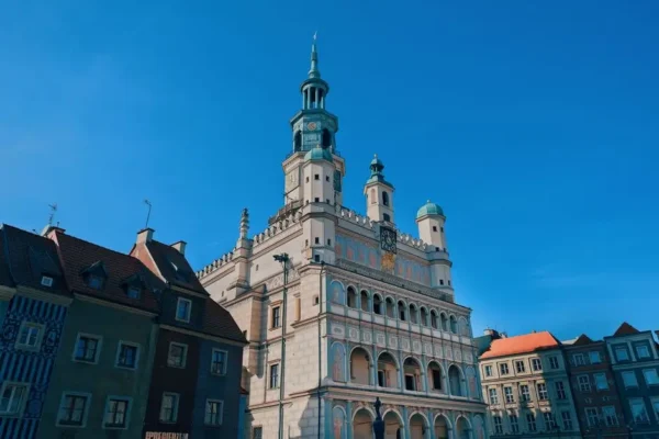 Nowy Plastyk Miejski w Poznaniu – zmiany organizacyjne od lipca