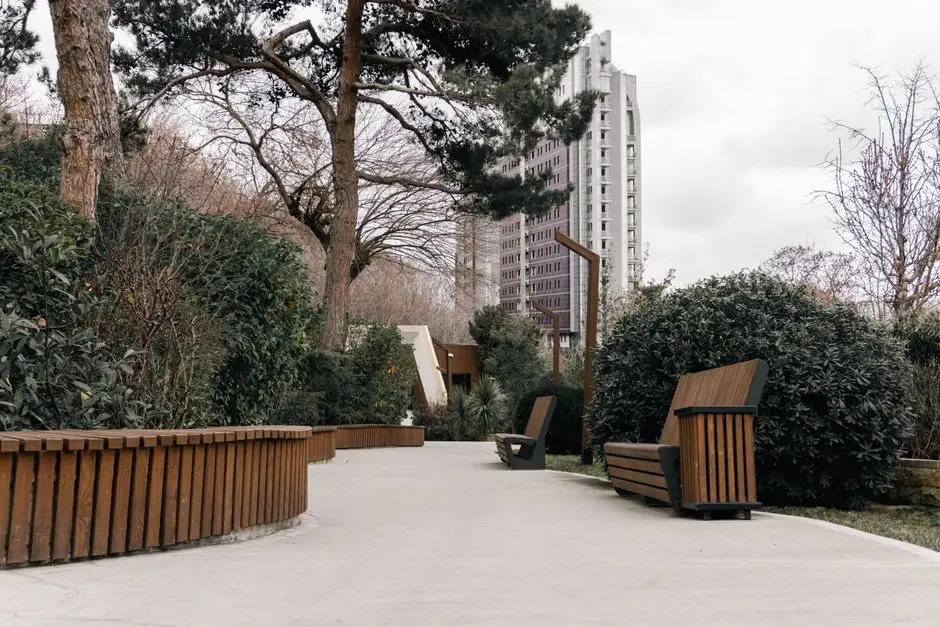 Park Czarneckiego w Poznaniu przeszedł rewaloryzację – nowe alejki, ławki i ogród deszczowy