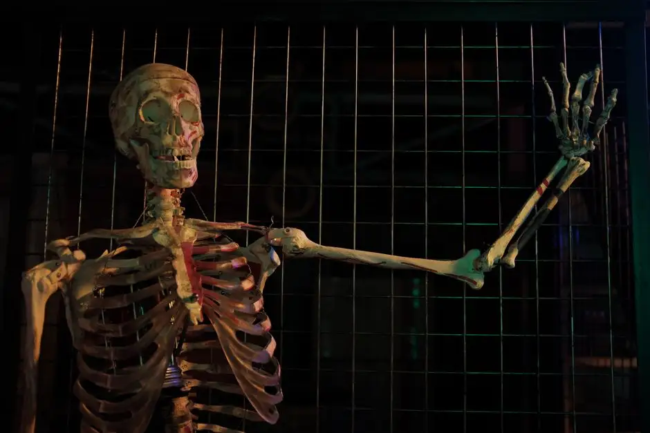 Body Worlds – Vital zawita do Poznania. Wyjątkowa wystawa anatomiczna od 27 sierpnia