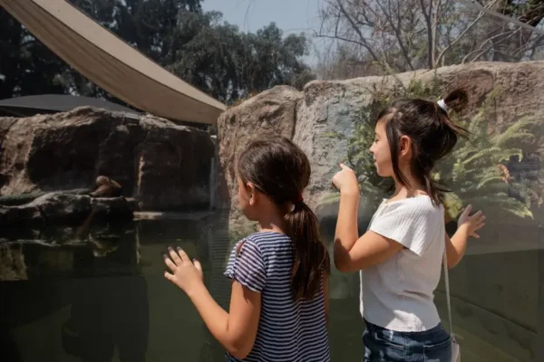 Poznańskie zoo szuka edukatora przyrodniczego. Praca na zastępstwo, 3/4 etatu