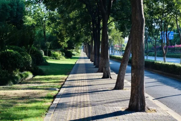Poznań: konsultacje w sprawie dwóch nowych pomników przyrody przy ul. Warmińskiej